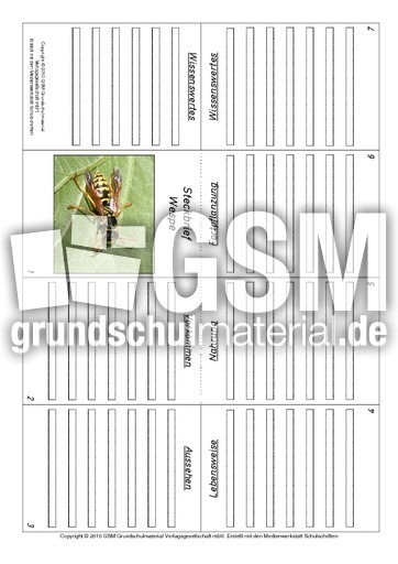 Faltbuch-Wespe.pdf